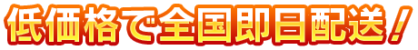 低価格で全国即日配送！